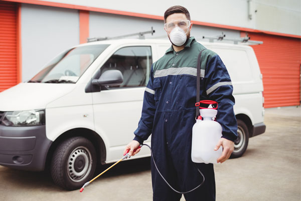 hygiene biocide votre allie contre les nuisibles